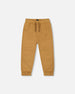 Stretch Twill Jogger Pant Tan - G30YB21_160