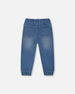 French Terry Denim Jogger Pant Denim Blue - G30YB22_125