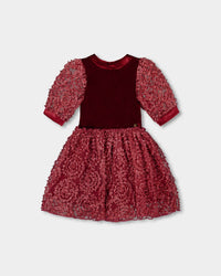 Puff Sleeve Bi-Material Velour And Lace Dress Red - H20Q89_758