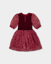 Puff Sleeve Bi-Material Velour And Lace Dress Red - H20Q89_758