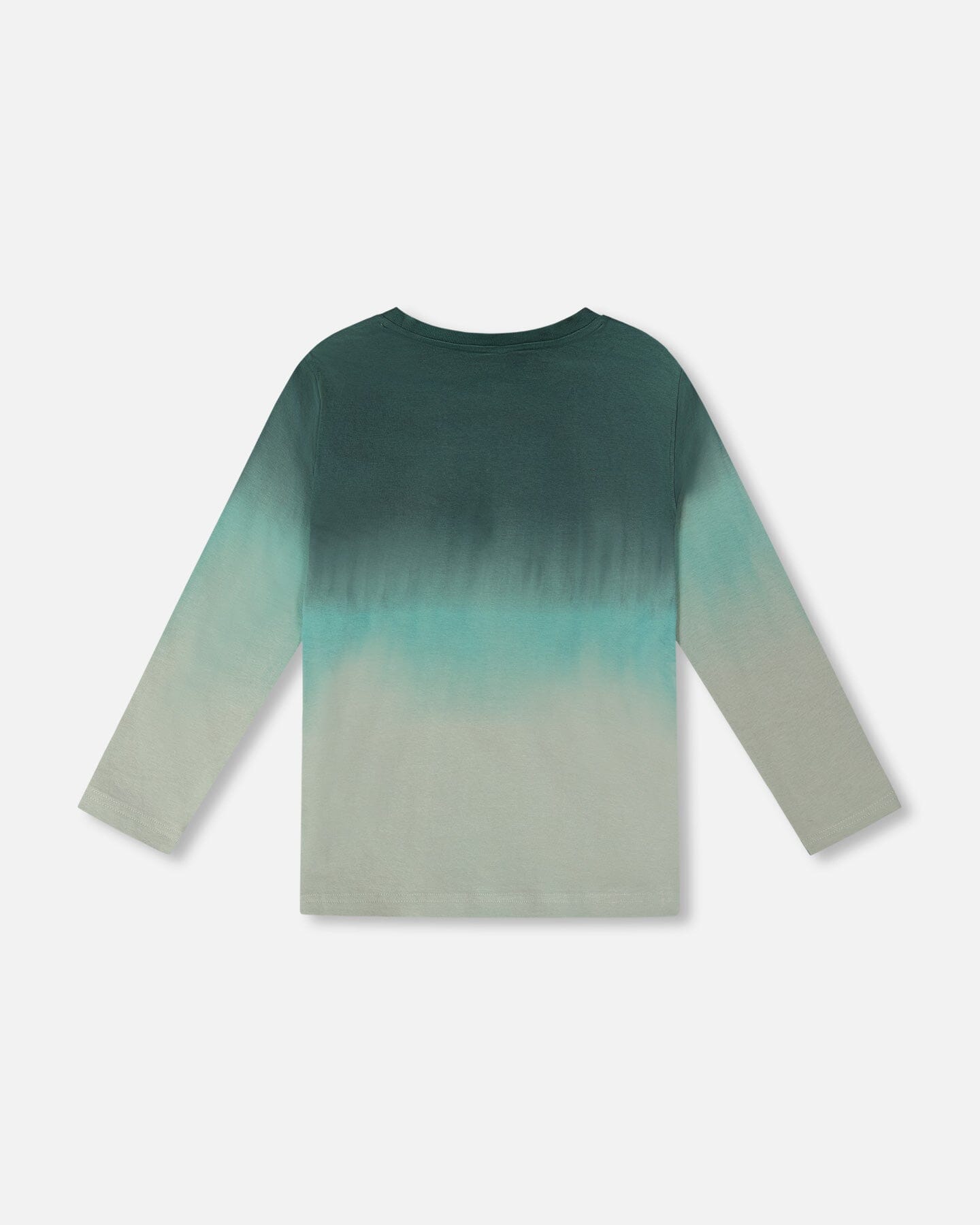 Long Sleeve Organic Cotton Gradient Jersey Tee Bottle Green - H20U72_292
