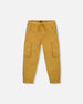 Twill Jogger Cargo Pants Ochre - H20YB20_241