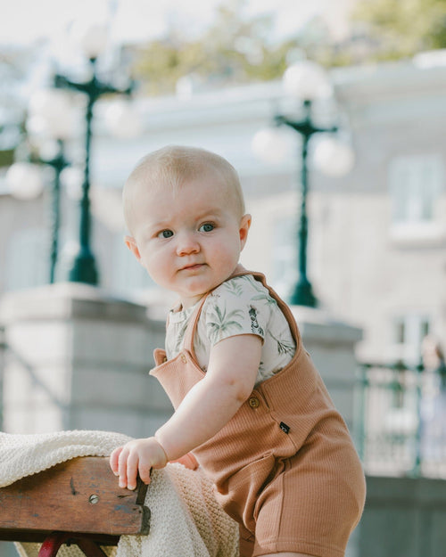 Organic Cotton Jersey Onesie And Cotton Rib Shortall Set Beige Zebra Print And Caramel - H30C13_3H054