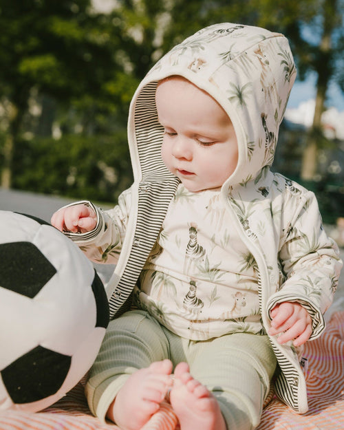 Organic Cotton Jersey T-Shirt And Cotton Rib Pants Set Beige Zebra Print And Sage Green - H30C14_3H054