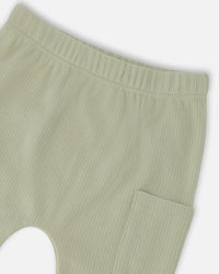 Organic Cotton Jersey T-Shirt And Cotton Rib Pants Set Beige Zebra Print And Sage Green - H30C14_3H054