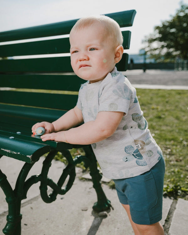 Jersey T-Shirt And Organic Cotton Jersey Shorts Set Grey Mix Turtle Print And Medium Blue - H30D13_3H060