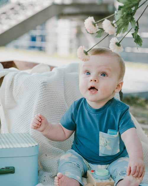 Organic Cotton Jersey T-Shirt And Pants Set Medium Blue And Blue Turtle Print - H30D14_04770