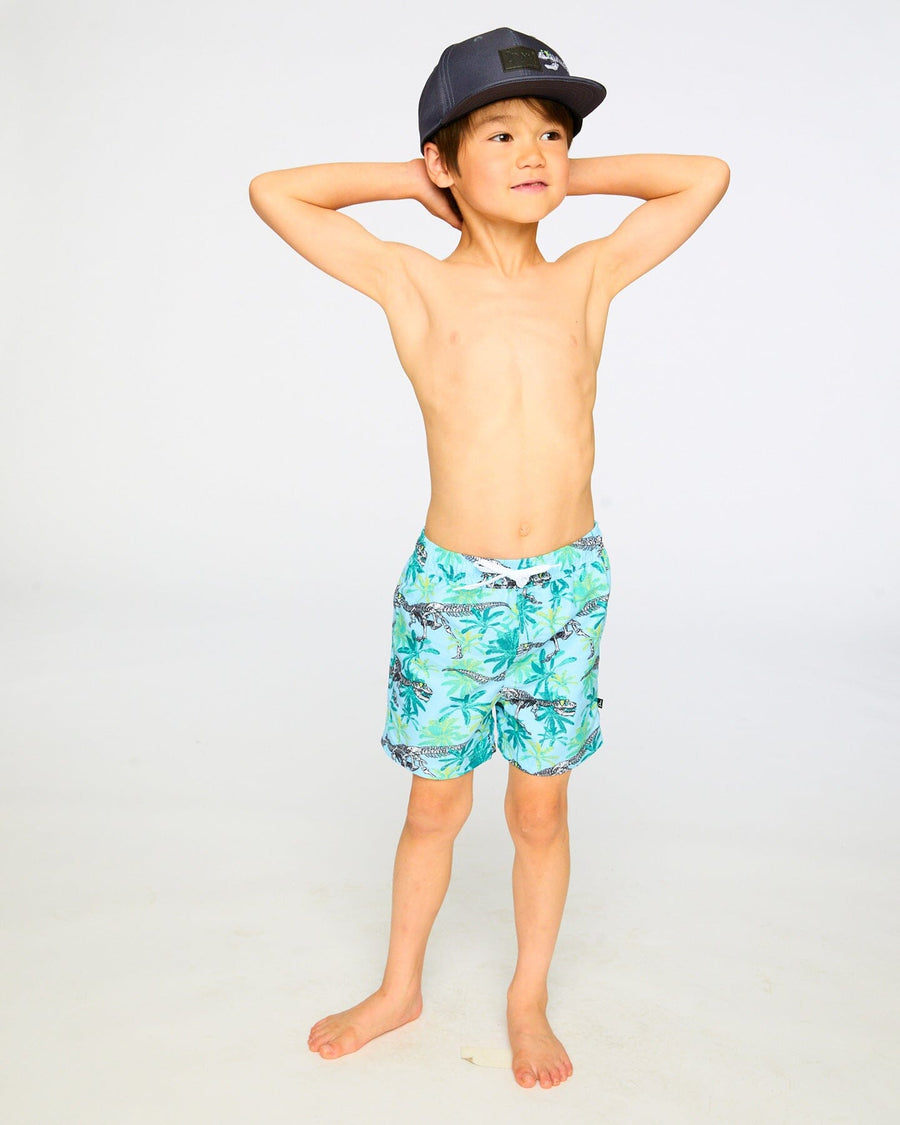 Boardshorts Blue Skeleton Print - H30OB07_3H166