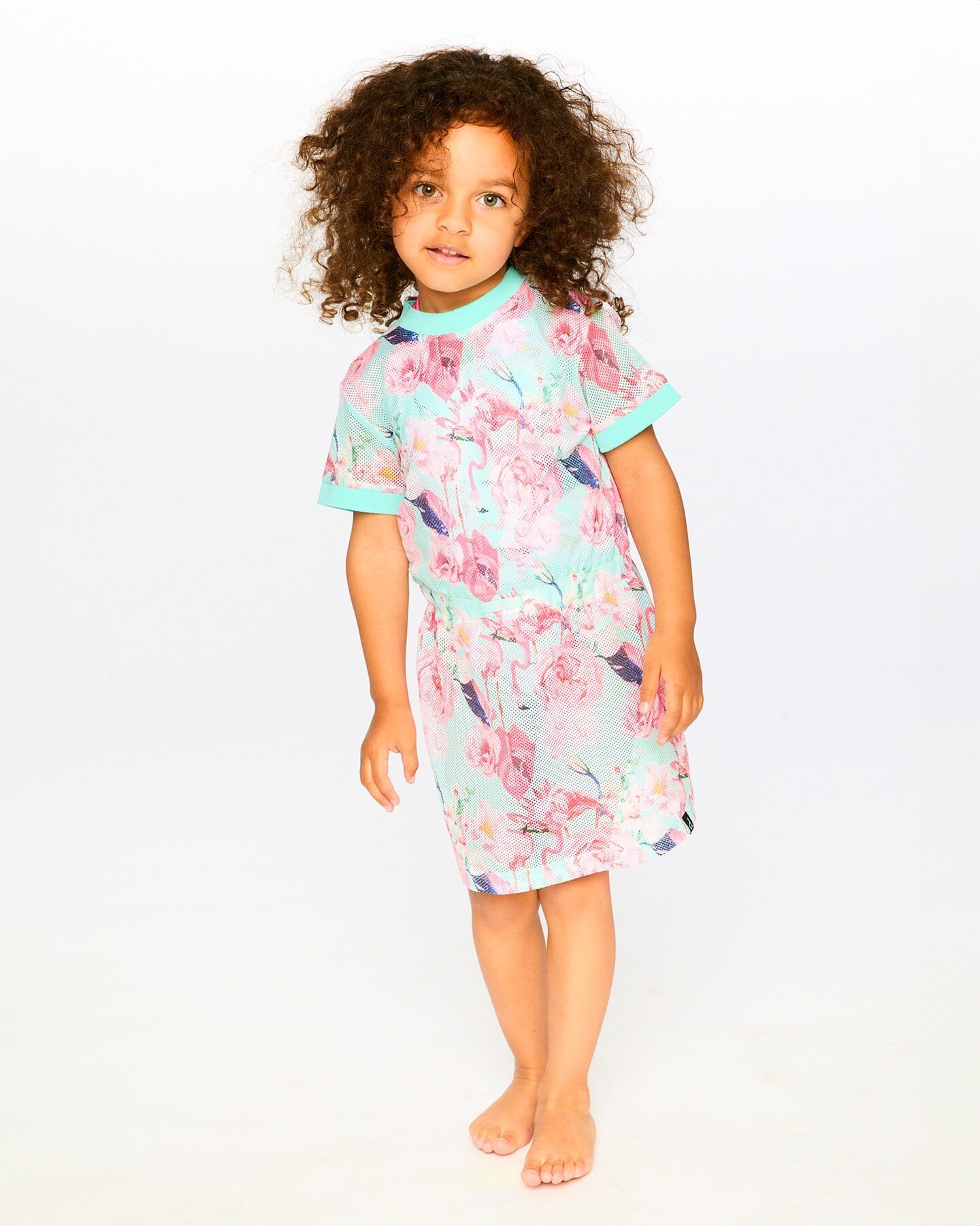 Mesh Beach Dress Blue Flamingo Print - H30OG30_3H154
