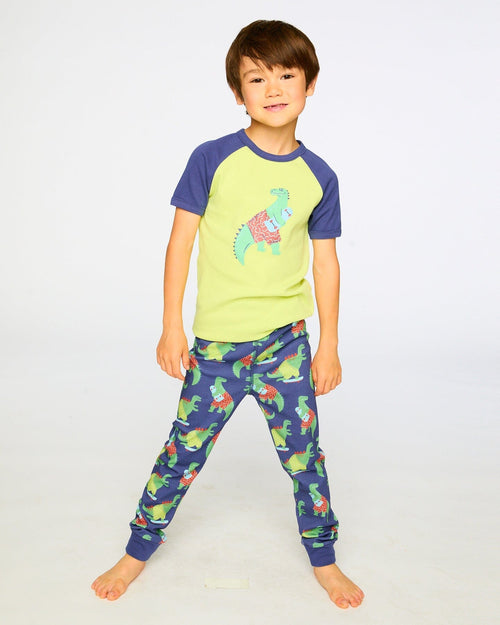 Organic Cotton Two-Piece Pyjama Set Blue Dino Print - H30PB11US_3H087