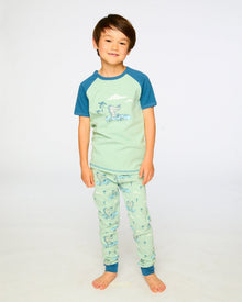 Organic Cotton Two-Piece Pyjama Set Green Crocodile Print - H30PB11US_3H089