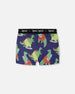 Organic Cotton Boxer Blue Dino Print - H30PB60_3H087