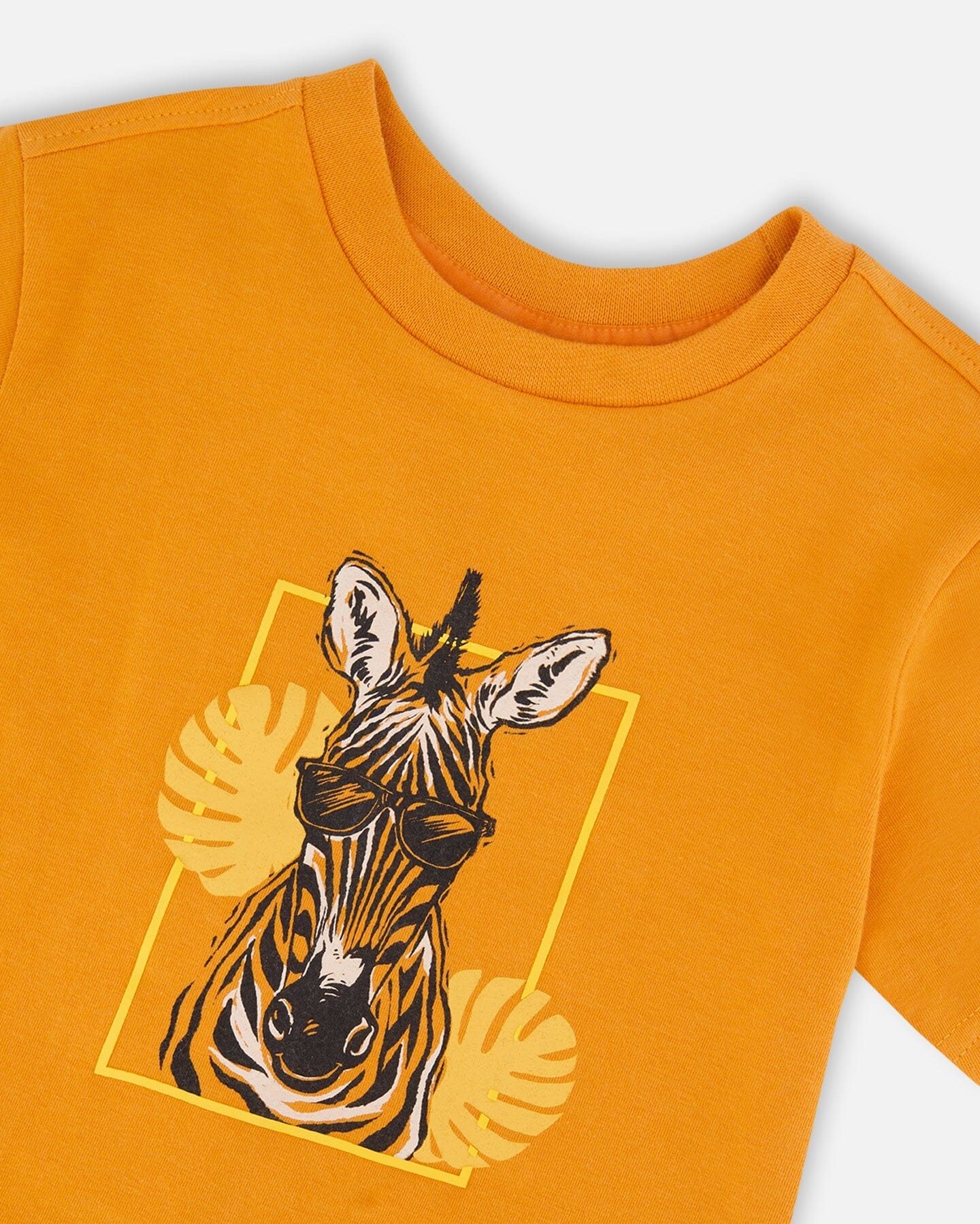 Organic Cotton Short Sleeve T-Shirt Orange - H30S70_02590