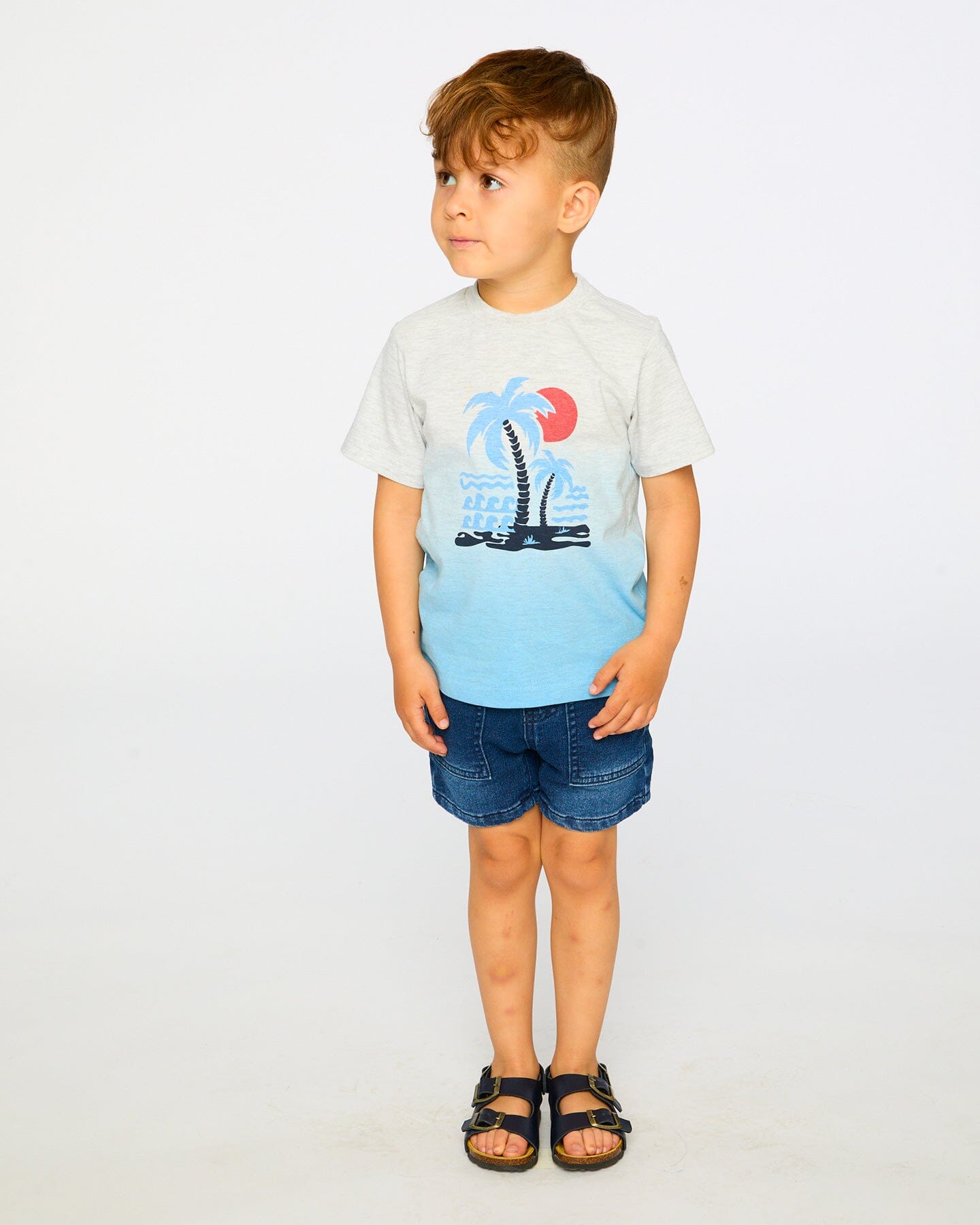 Organic Cotton Short Sleeve T-Shirt Grey Mix To Blue Gradient - H30T70_3H188