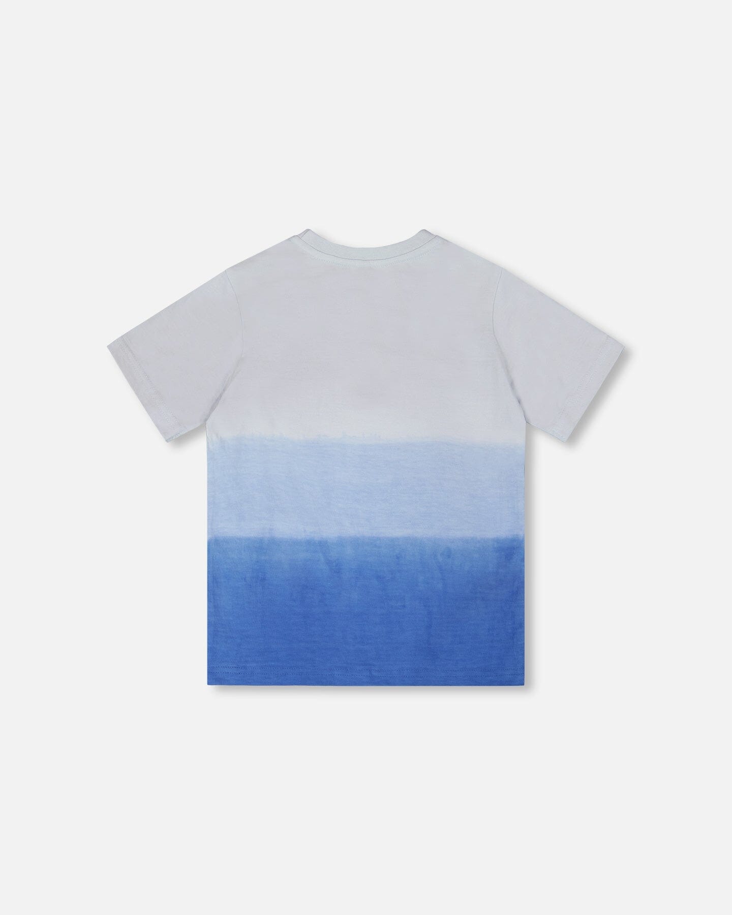 Organic Cotton Jersey T-Shirt With Print Gradient Pale Blue - H30U71_04000
