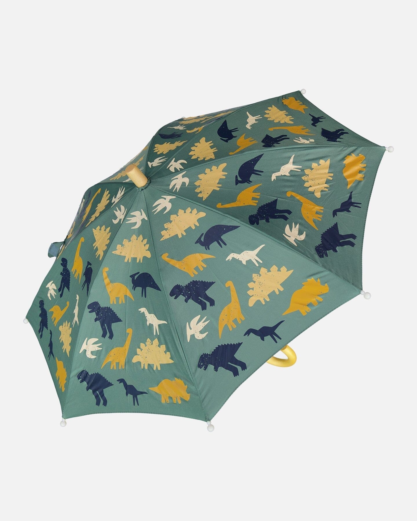 Umbrella Green Dinosaur Print - H30WPR_3H028