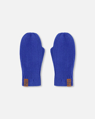 Ribbed Knit Mittens Royal Blue - H30WT26_04690