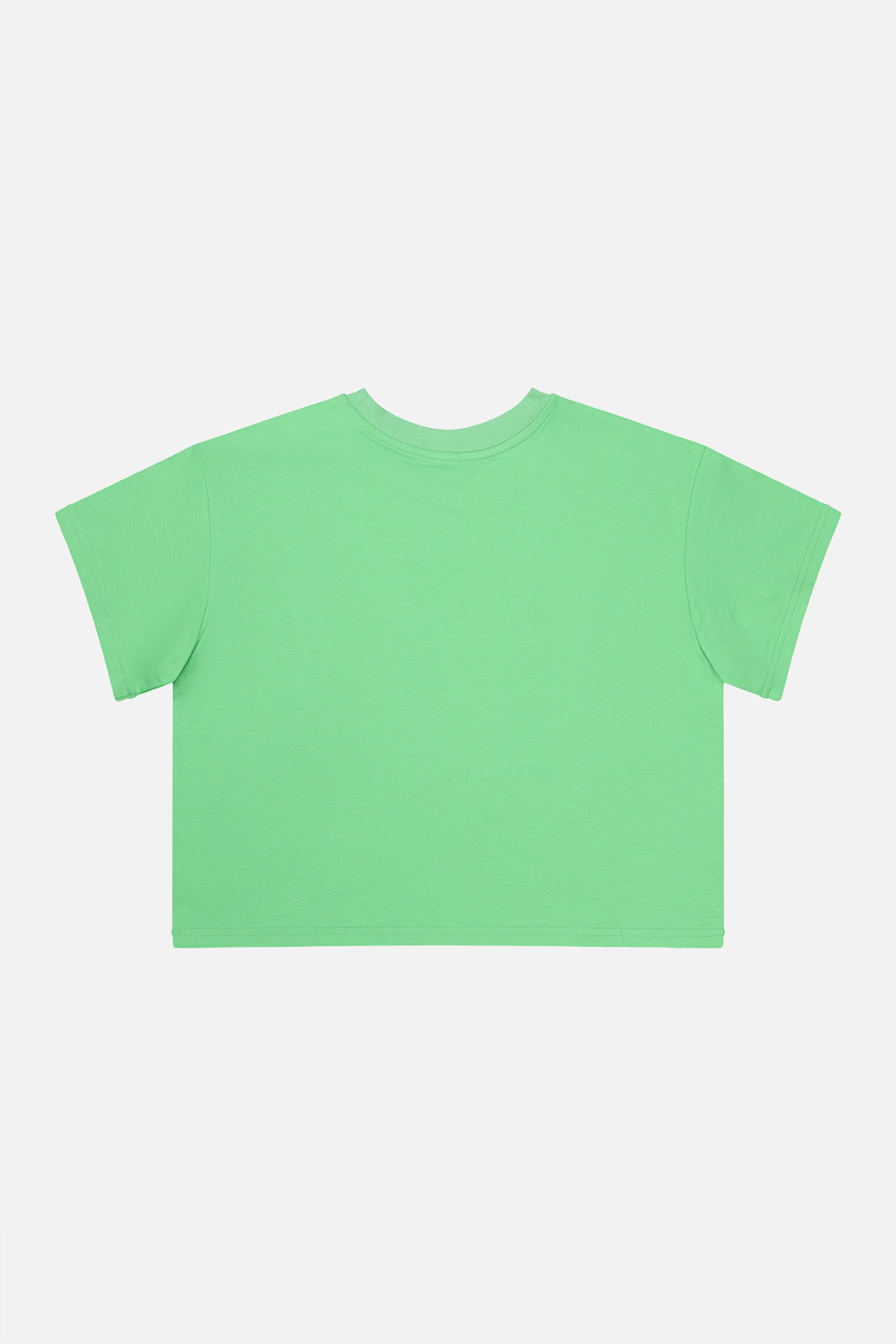Adult 40Th Anniversary Graphic T-Shirt Green