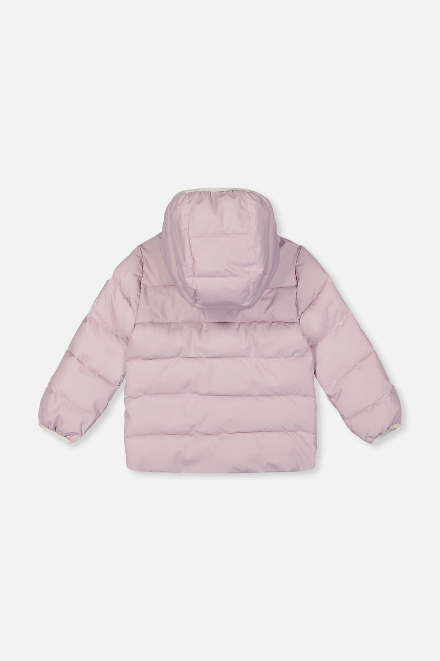 Winter Jacket Adapted For Car Seats Lavender - J10B500_05440