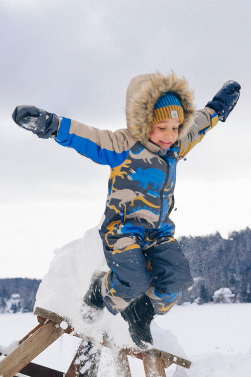 Kids One Piece Play Snowsuit Grey And Blue Dinosaur Print - J10PB74_1J057