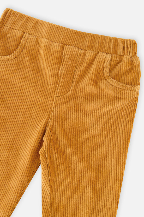 Stretch Velour Treggings Yellow