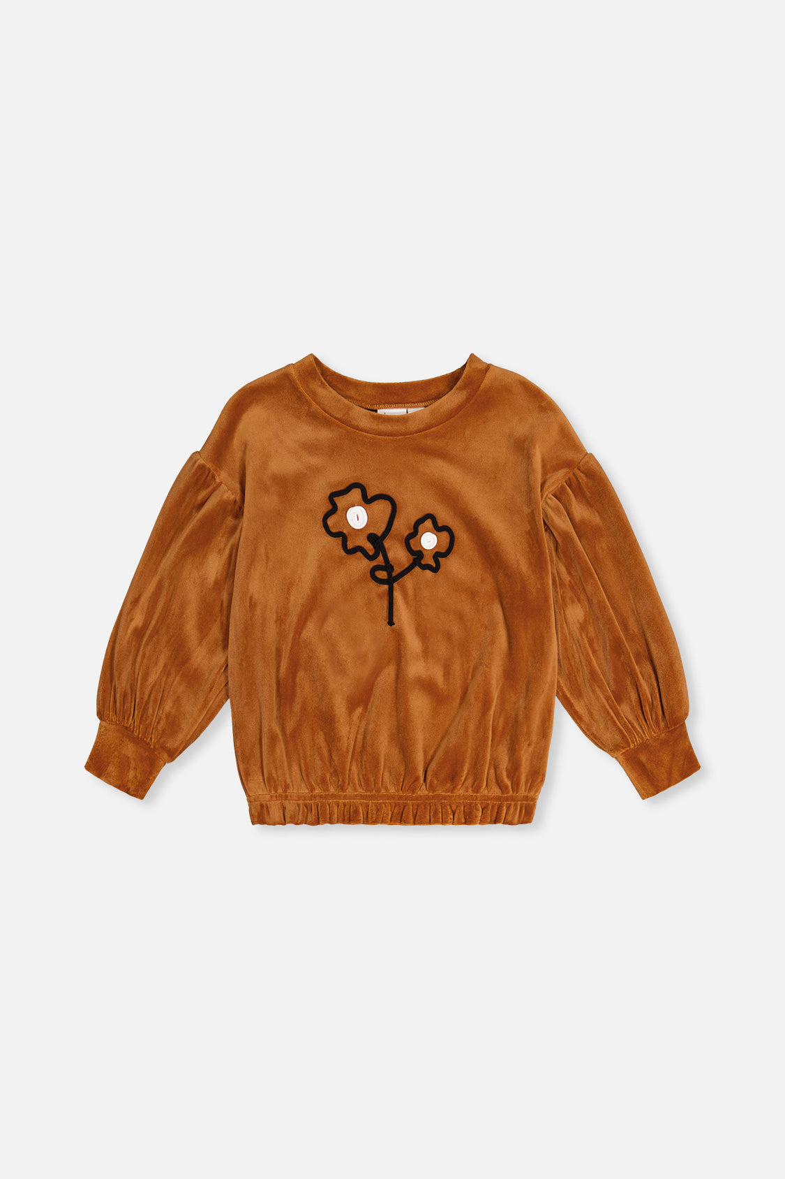 Velvet Top Brown - J20H71_09100