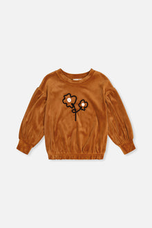 Velvet Top Brown - J20H71_09100