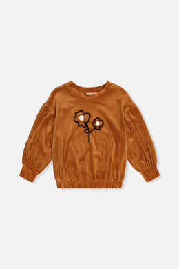 Velvet Top Brown - J20H71_09100