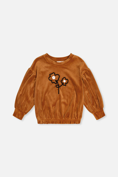 Velvet Top Brown - J20H71_09100