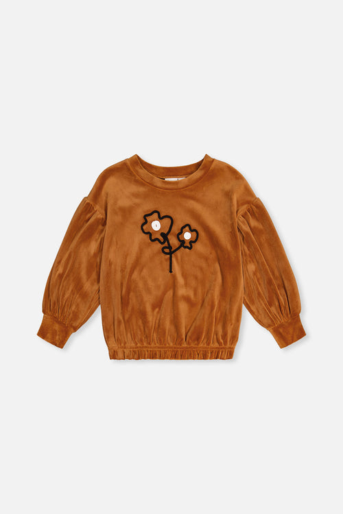 Velvet Top Brown - J20H71_09100