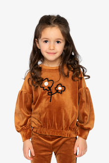 Velvet Top Brown - J20H71_09100
