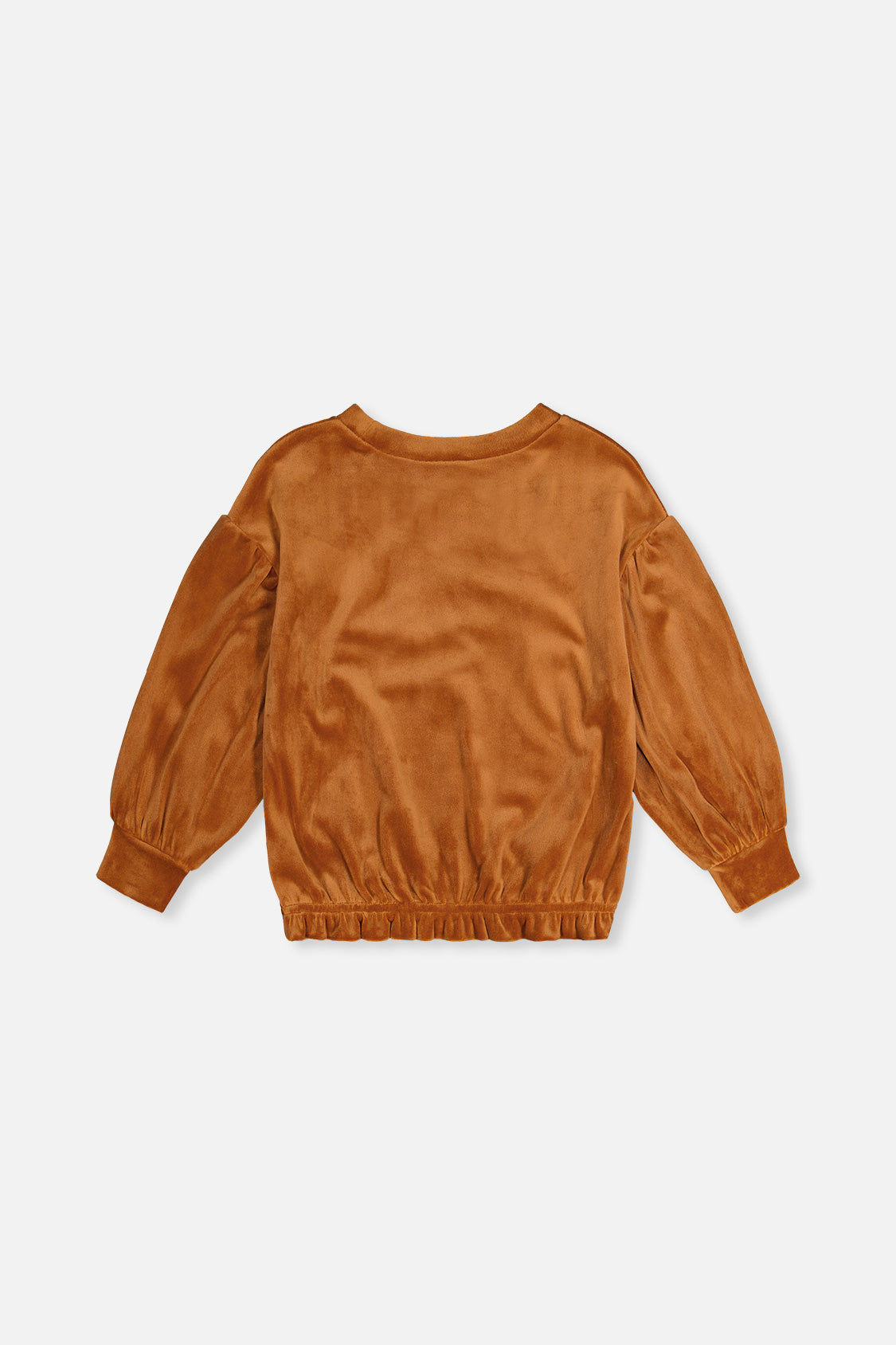 Velvet Top Brown - J20H71_09100