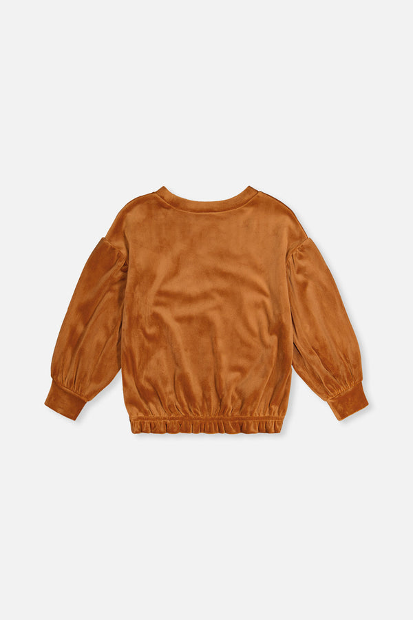 Velvet Top Brown - J20H71_09100
