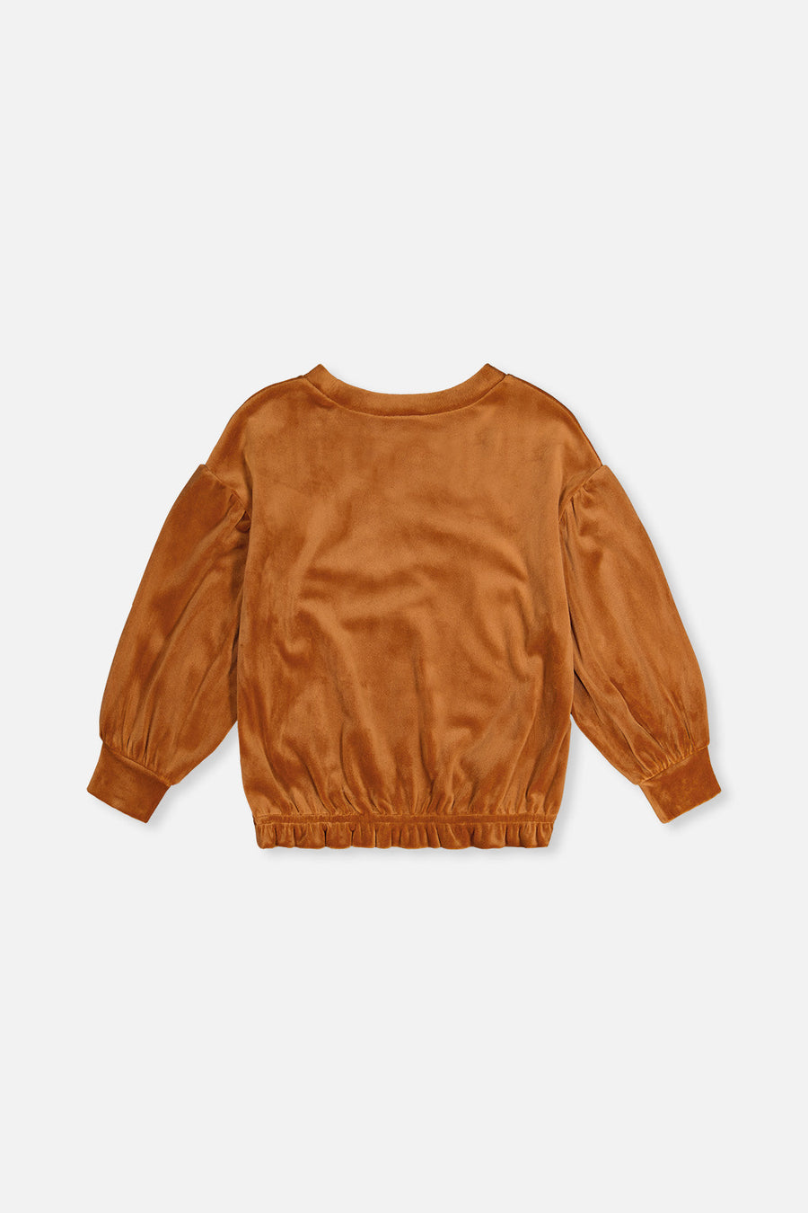 Velvet Top Brown - J20H71_09100