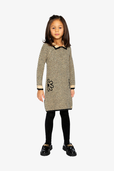 Knit Dress With Collar Beige And Black - J20HT85_09990
