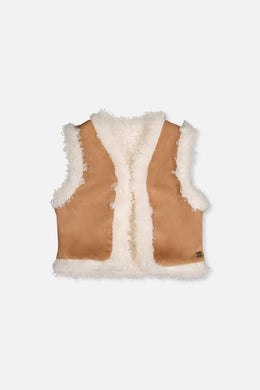 Reversible Vest Brown - J20I30_01730