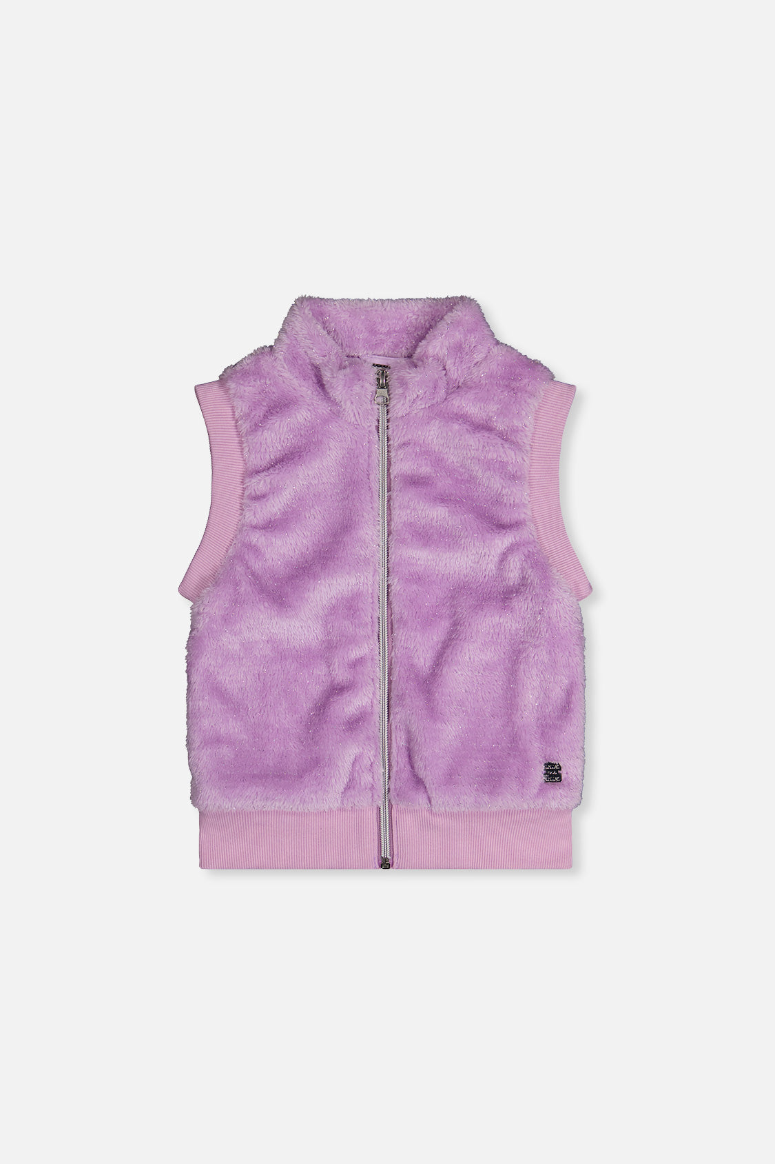 Faux Fur Sleeveless Vest Violet - J20L33_05150