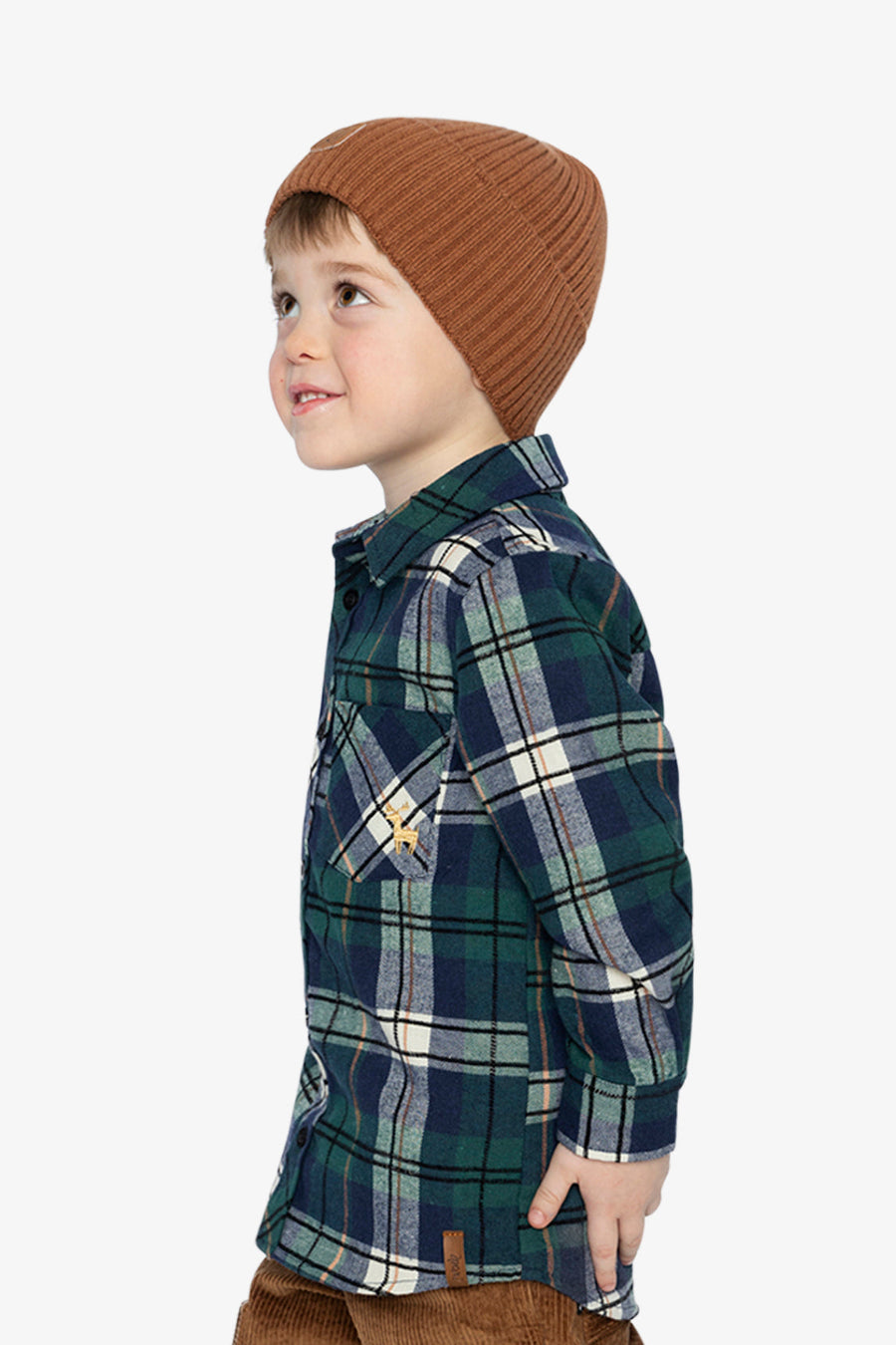 Plaid Shirt Blue And Green - J20OB16_2J314