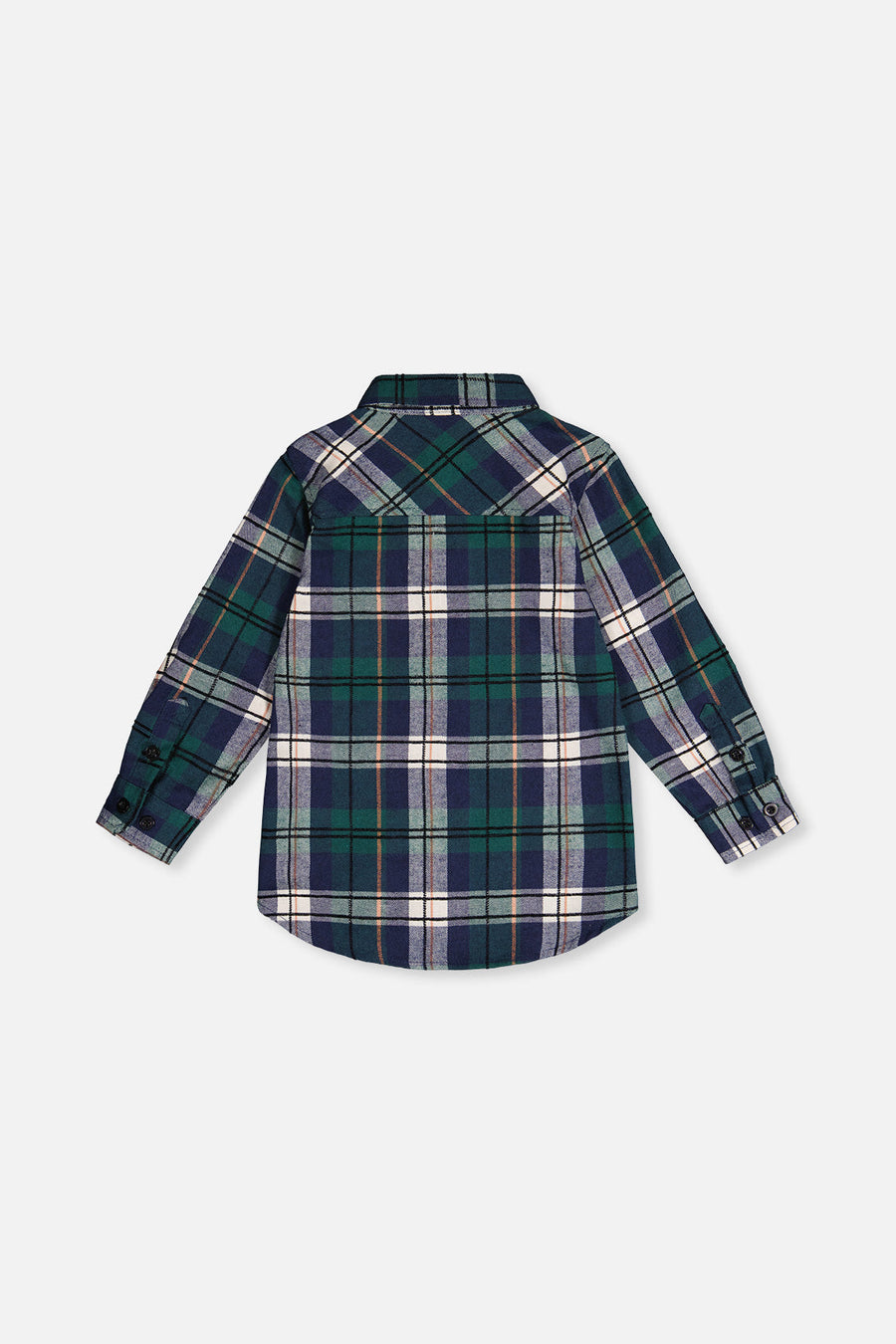 Plaid Shirt Blue And Green - J20OB16_2J314