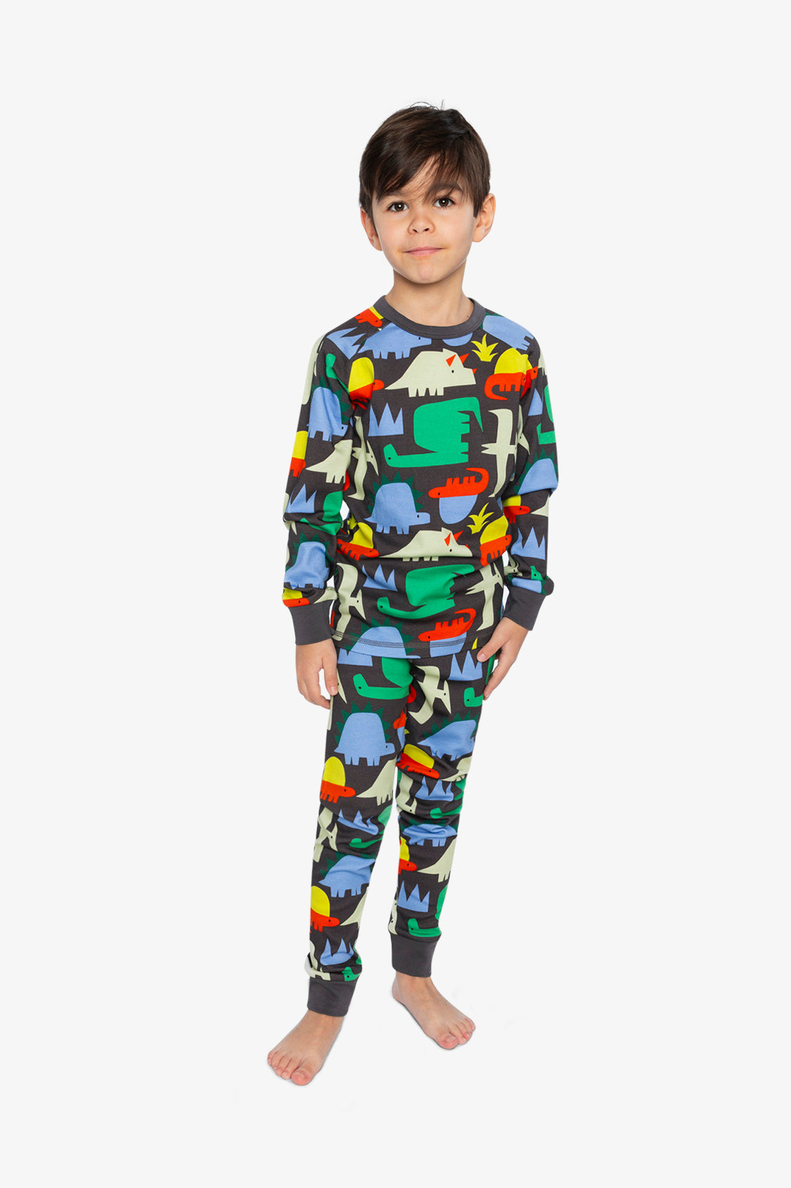 Organic Cotton Two Piece Pajama Set Black Dinosaur Print - J20PB10US_2J228