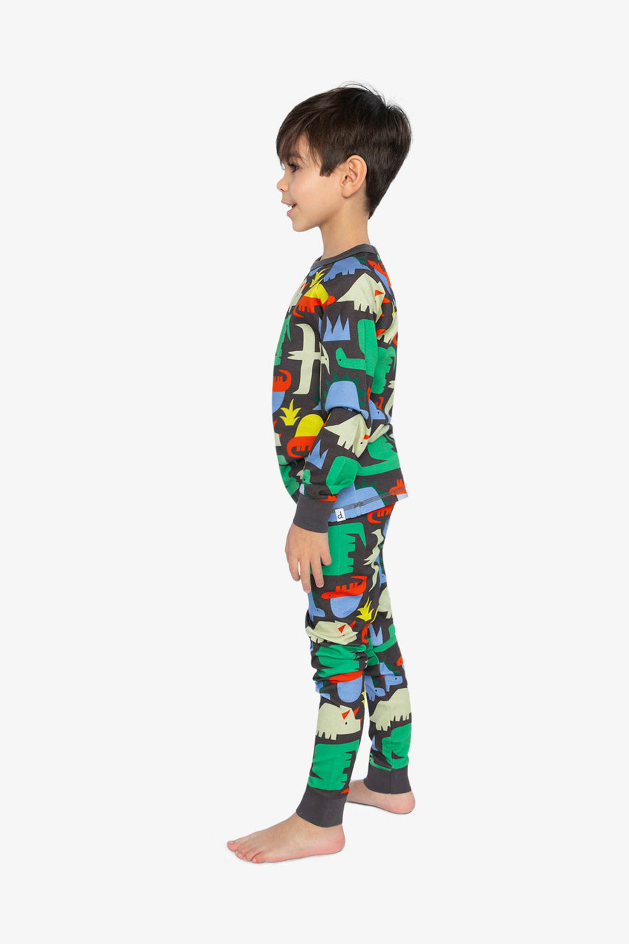 Organic Cotton Two Piece Pajama Set Black Dinosaur Print - J20PB10US_2J228