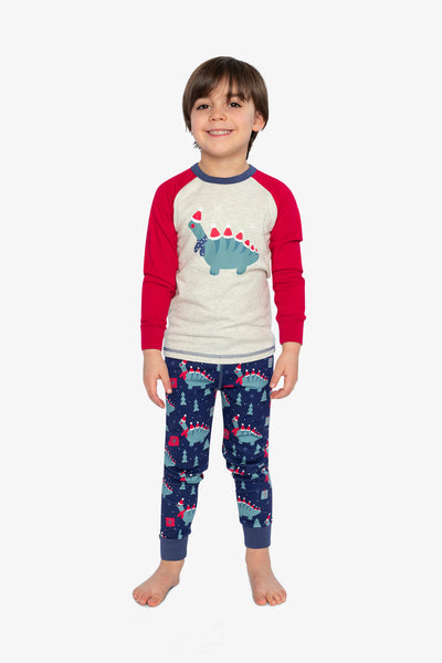 Organic Cotton Two Piece Pajama Set Blue Dinosaur Print - J20PB10_2J231