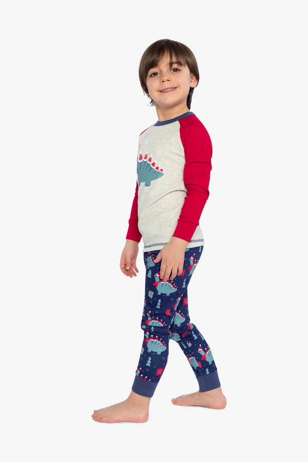 Organic Cotton Two Piece Pajama Set Blue Dinosaur Print - J20PB10_2J231