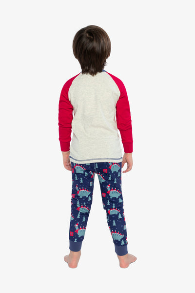 Organic Cotton Two Piece Pajama Set Blue Dinosaur Print - J20PB10_2J231