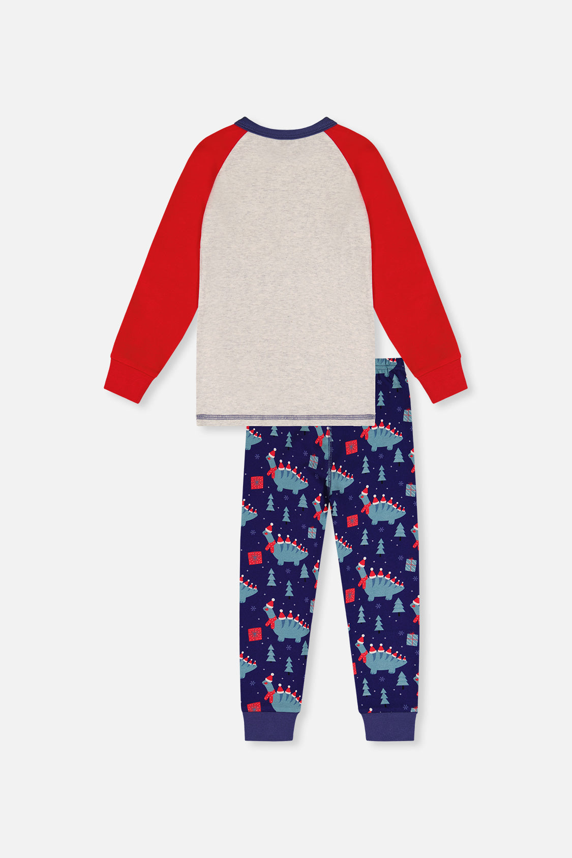 Organic Cotton Two Piece Pajama Set Blue Dinosaur Print - J20PB10_2J231