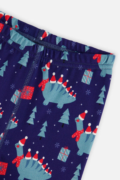 Organic Cotton Two Piece Pajama Set Blue Dinosaur Print - J20PB10_2J231