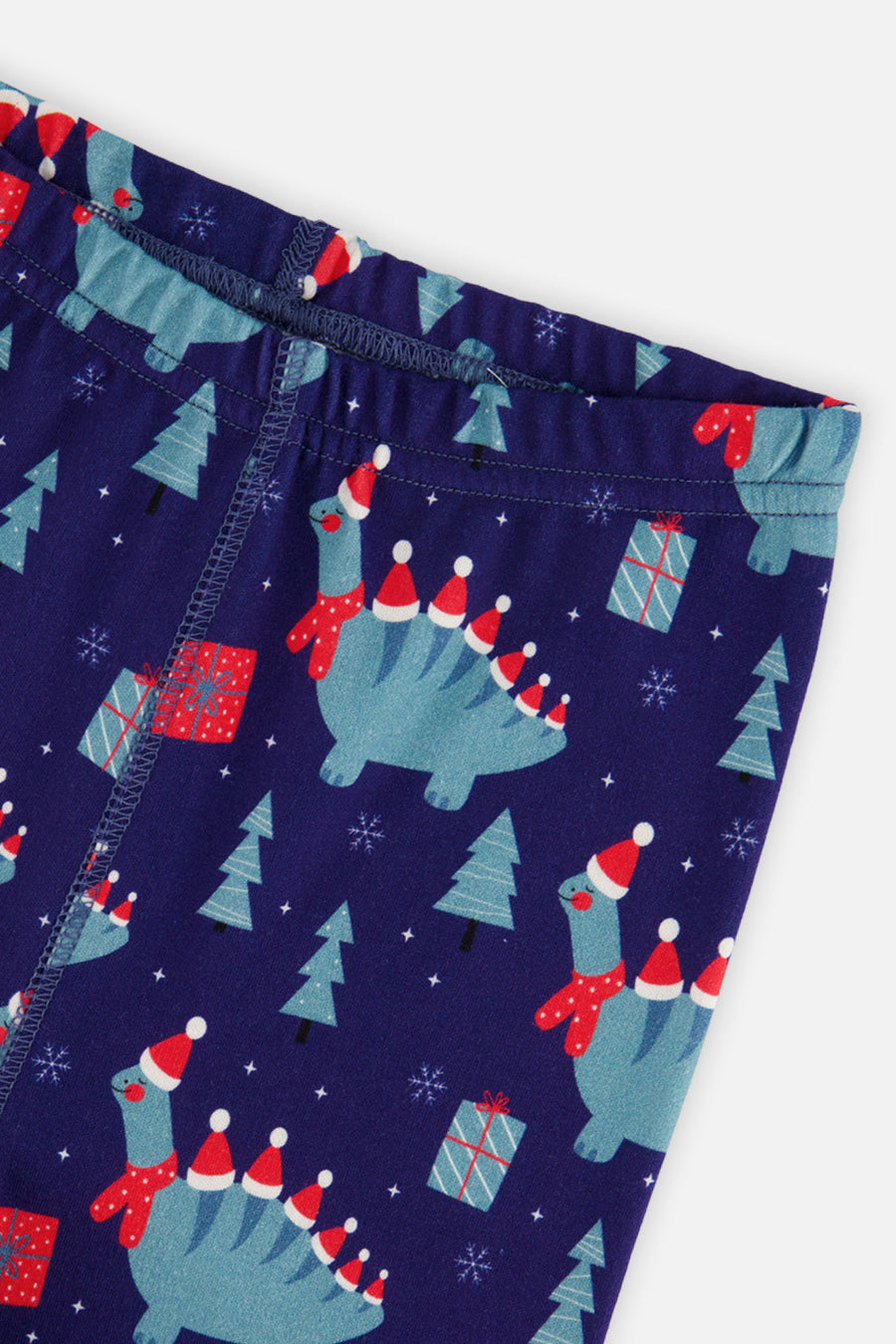 Organic Cotton Two Piece Pajama Set Blue Dinosaur Print - J20PB10_2J231