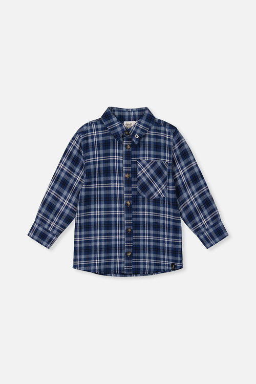 Plaid Shirt Blue And White - J20S15_2J266