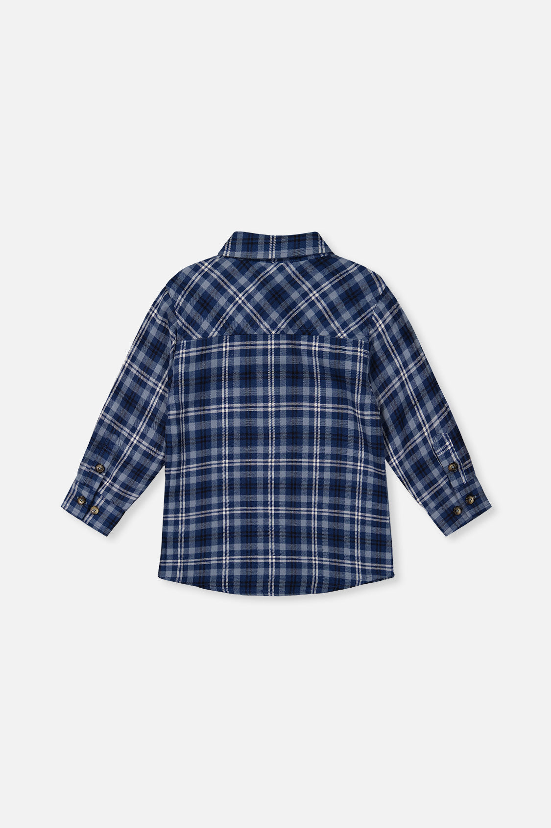 Plaid Shirt Blue And White - J20S15_2J266
