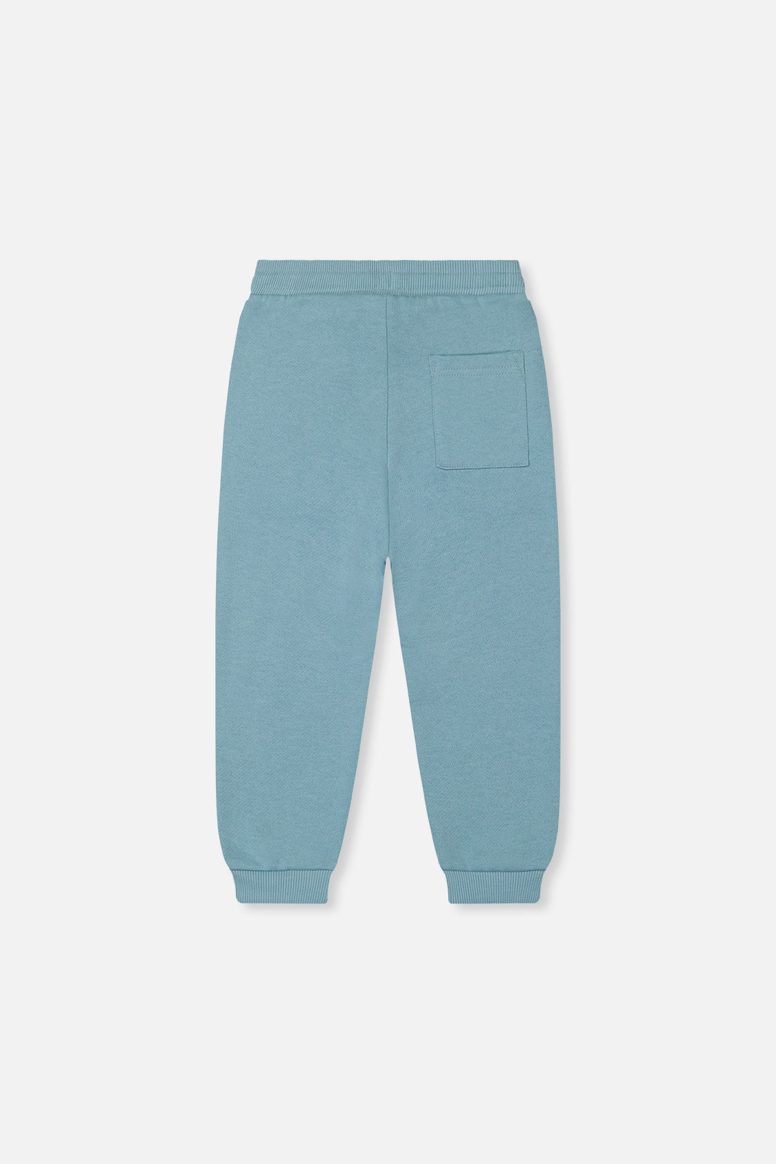 Fleece Sweatpants Pale Turquoise - J20S20_04180